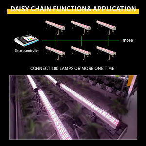 Fabbrica diretta Led crescono la luce a spettro completo Led verde <span class=keywords><strong>casa</strong></span> 120w 150w samsung Lm301h <span class=keywords><strong>Evo</strong></span> Led coltiva la luce - Product Image 4