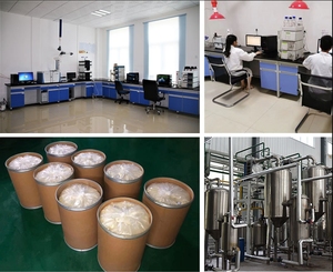 95% naturale puro 98% estratto vegetale <span class=keywords><strong>Ecdysterone</strong></span> in polvere integratore Beta <span class=keywords><strong>Ecdysterone</strong></span> - Product Image 6