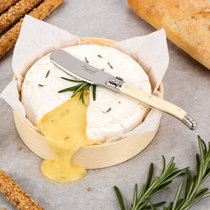 <span class=keywords><strong>Couteau</strong></span> à beurre <span class=keywords><strong>Laguiole</strong></span> personnalisé OEM, ensemble de 4 pièces, couteaux à <span class=keywords><strong>fromage</strong></span> et à crème de haute qualité pour le branding - Product Image 4