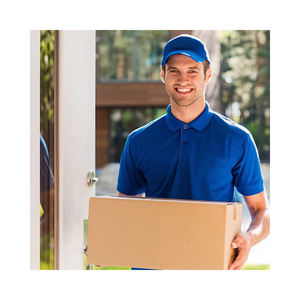 2024 Spedizioniere Economico per Trasporto Aereo/Marittimo, Tariffe di Spedizione FBA da Shenzhen verso USA, Regno Unito, CANADA, Germania, Italia - Product Image 1