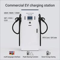 高安全性 120kW 直流快速充电站 IP54 双枪式 1000V EVSE 充电设备，具有多层网络安全加密功能，支持 OCPP