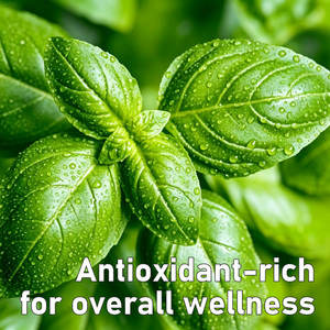 Cápsulas de aceite de orégano OEM ODM con aceite de semilla negra, promueven la salud intestinal, mejoran el apoyo inmunológico, la digestión, suplemento antioxidante - Product Image 3