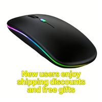 Souris sans fil mince avec rétroéclairage RVB, souris d'ordinateur silencieuse rechargeable 2,4 G