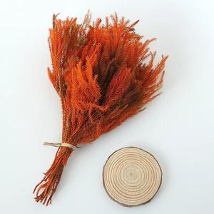 Ide produk baru 2023 lumut klub bunga yang diawetkan untuk semua jenis dekorasi Festival klub lumut - Product Image 5