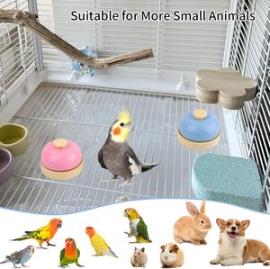 Toptan paslanmaz çelik kuş çan oyuncaklar papağan eğitim ve evcil hayvan çiğnemek oyuncaklar Parakeets Conures atiatiels köpekler için - Product Image 6