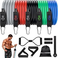 Juego de bandas de resistencia de entrenamiento portátiles de 150 libras, ejercicio de fisioterapia en casa, bandas de Fitness, ancla de puerta, deportes de entrenamiento de goma