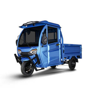 F yurtdışı ihracat indirimler elektrikli üç tekerlekli bisiklet üç tekerlekli bisiklet aksesuarları özelleştirme hizmeti ile gölgelik Trike motorsiklet - Product Image 2