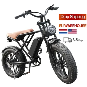 High Quality 20 Inch Outdoor Electric Fat Tire Bike Road Electric Hybrid Bike Mountain China Electric Bikes