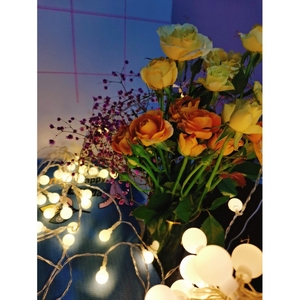 Ngoài trời <span class=keywords><strong>LED</strong></span> <span class=keywords><strong>String</strong></span> ánh sáng 2 Meter giáng sinh <span class=keywords><strong>LED</strong></span> Strip ánh sáng ngoài trời không thấm nước kết nối giáng sinh dải ánh sáng - Product Image 5