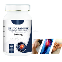 Oem Glucosamine Chondroïtine Msm Plus Complexe Vitamine D 500mg Sulfate de Chondroïtine Capsules dures
