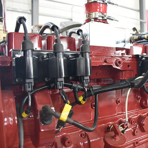 LPG Biogas pendingin air fase tunggal, Generator turbin <span class=keywords><strong>Gas</strong></span> alami tegangan terukur 220V untuk tempat Ukuran Sedang besar - Product Image 4