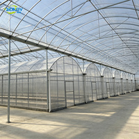 Serre tunnel multi-travées de 8 m en film plastique résistant aux UV avec ventilation enroulable