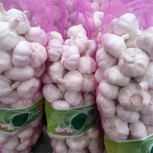 Ail frais blanc pur, bon marché, blanc neige, origine chinoise, ail Super blanc, vente en gros pour l'exportation - Product Image 5