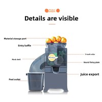 Hete Aanbieding: Elektrische Automatische Citruspers, Sinaasappelpers, Sapcentrifuge voor Restaurants, 1 Jaar Garantie