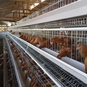 4 tier 128 camada de galinhas gaiolas aves aves pilha preço para 500/1000/3000 galinhas fazenda