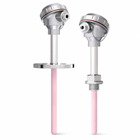 Sensor Suhu Tinggi Termokopel Platinum Rhodium Tipe S dengan Tabung Keramik Alumina, Berperingkat IP55, Dilengkapi WiFi, ODM OEM untuk Industri