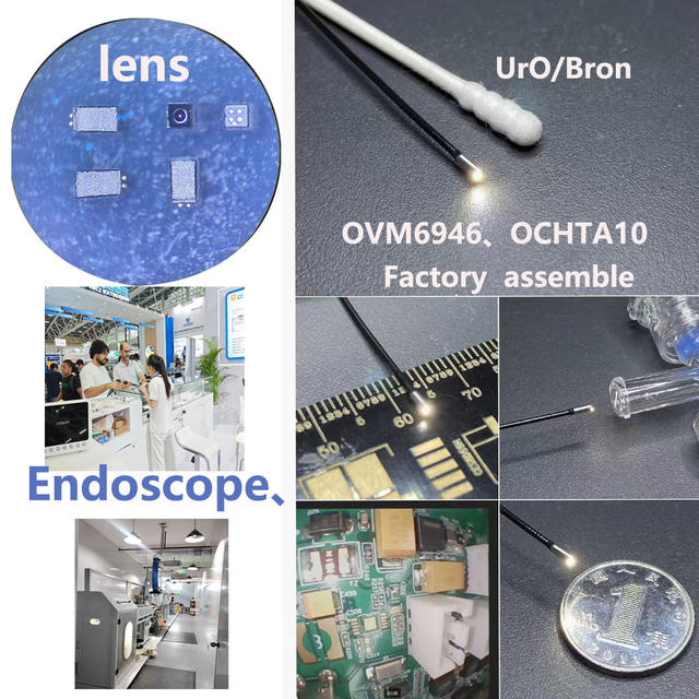 Disposable Rigid Hysteroscope USB Endoscope with 1280*720 Resolution Customized Connector for Human Market