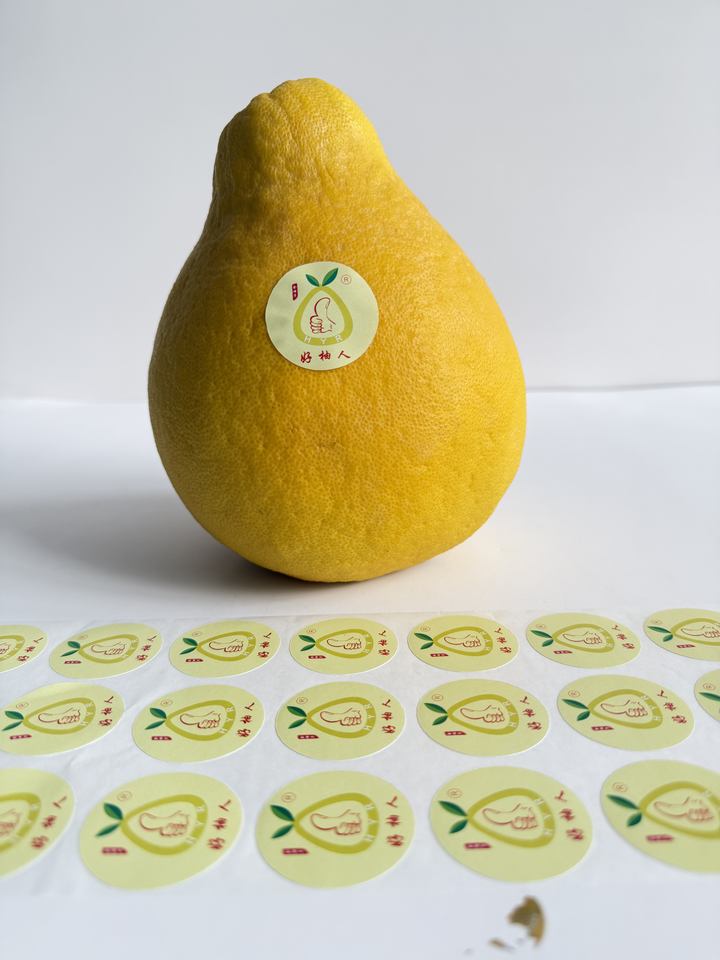 Hot-selling Customized Logo Printed Waterproof Roll Adhesive Stickers ...