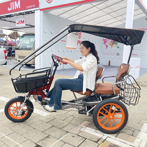 Manufacturer <b>Cheap</b> Price Pedal Assisted Trikes 3 Wheel Adults Electric with Front <b>Basket</b> Electric Pedal Tricycle - Product Image 3