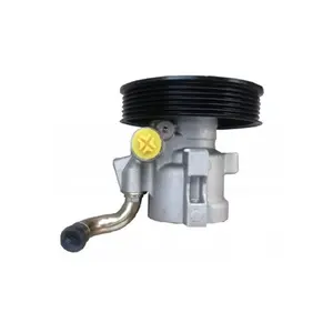 Power Steering Pump for Chevrolet OEM 25980805