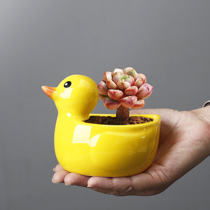 Super Cute Cartoon Little <strong>Duck</strong> Animal Design Glazed Ceramic Flower Pot All-Match Succulent <strong>Planter</strong> with Fun Personality - Product Image 2