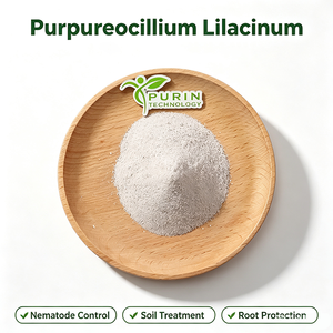 Purpureocillium Lilacinum Paecilomyces Lilacinus Samson, Agente Microbiano Agrícola para el Control de Nematodos de Nódulos Radiculares - Product Image 2