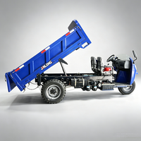 Tricycle cargo diesel à benne ouverte, moto à 3 roues motorisée pour capacité de chargement