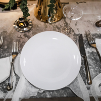 Ensemble de table à manger en porcelaine de qualité AB blanche écologique avec logo personnalisable, plat de service durable pour buffet, plat de service pour hôtels