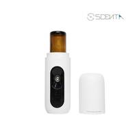 SCENTA gros diffuseur sans eau Machine bouton électrique contrôle CE Rohs huile essentielle prise murale diffuseur d'arôme