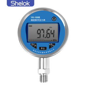 Jauge numérique Shelok pour le contrôle des processus eau, gaz, huile - Product Image 2