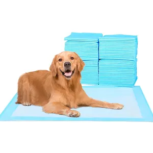 High Quality Super Absorbent Disposable Dog And Puppy Pads Leak-proof 5 Layer Pee Pads For Pets 60 X 60cm