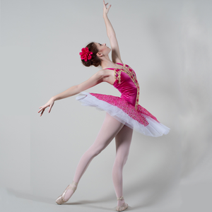 Nueva <span class=keywords><strong>moda</strong></span> Rosa tutú de Ballet profesional para niñas niños puesta en escena trajes de baile vestido de Ballet - Product Image 4