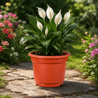 Pot de fleurs moderne en plastique de 1 gallon avec trou de drainage, pour pépinière, usage intérieur/extérieur, à poser au sol