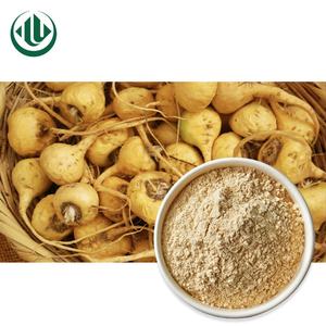 ピュアナチュラルイエローマカエキスパウダーマンヘルスサプリメントマカ根エキス10:1 20:1 - Product Image 2