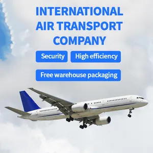 15years professional DDP door to door air/sea shipping agent from China to Europe uk germany shipping service