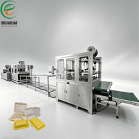 Machine de production automatique de boîtes à emporter en plastique PS/PP jetables, type clamshell, pour contenants alimentaires et boîtes à lunch
