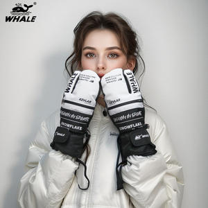 Guantes de Esquí Whale HXST-100 Gris Claro Unisex Impermeables con Pantalla Táctil para Adultos - Product Image 1