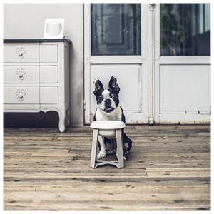 ชามเซรามิกสำหรับแมวและสุนัขขนาดใหญ่น่ารักแท่นยกสำหรับการให้อาหาร - Product Image 1