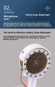 पेशेवर बड़े डायाफ्राम condenser माइक्रोफोन शून्य ध्वनि हानि अनुभव पॉडकास्ट और कराओके के लिए उपयोग किया जाता है - Product Image 4