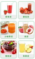 Abrikozen Cactus Zuurzak Tomaat Proces Cashew Extractor Wortelsap Pulper Aardbei Cherry Mango Tomaat Fruit Pulp Machine