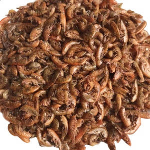 Riviergarnalen <span class=keywords><strong>Aquarium</strong></span> Vissen Voedselschildpad Voedt Gedroogde Garnalen Hele Verkoop - Product Image 4
