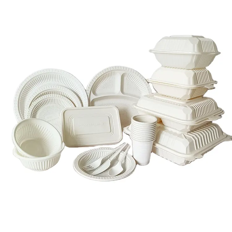 Biodegradable tableware 7" inch lunch box individually package cake desserts plate disposable party cutlery set