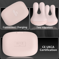 Neuerscheinung Tragbarer Multifrequenz-Vibrationsmassager, 4 Einstellbare Modi Vibrator für Frauen