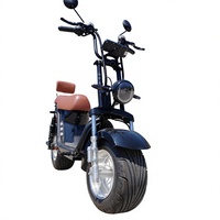 Bicicleta Eléctrica de Última Generación 2026, 1500W 60V, Batería de Gran Capacidad, Carga Rápida, Cuadro Ligero de Acero, Asistencia de 3 Velocidades, Motor Trasero Electrónico