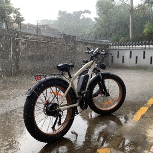 Bicicleta Eléctrica de Largo Alcance con Motor Trasero de 48v 2000w 22.4ah, Modelo F1, Venta al Por Mayor en China - Product Image 3