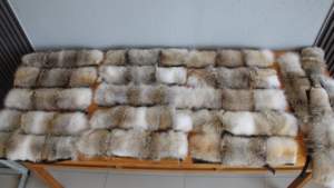 100% tela de felpa de poliéster Super suave estilo burbuja ecológico transpirable falso collares de piel de Coyote - Product Image 3