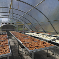 Séchoir solaire polyvalent à tunnel unique pour serres de bananes