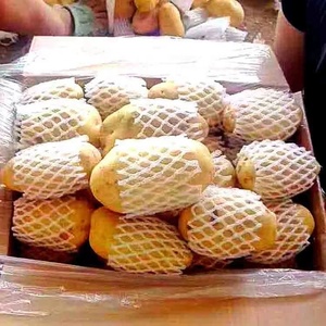 Haute qualité nouvelle récolte chine exportation hollande frais graines <span class=keywords><strong>de</strong></span> <span class=keywords><strong>pomme</strong></span> <span class=keywords><strong>de</strong></span> <span class=keywords><strong>terre</strong></span>/graines prix <span class=keywords><strong>à</strong></span> vendre - Product Image 5