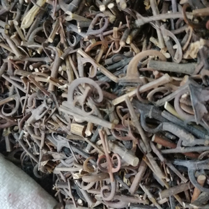 Stelo e spina <span class=keywords><strong>Gambir</strong></span> essiccati cinesi Gou Teng per erbe - Product Image 6