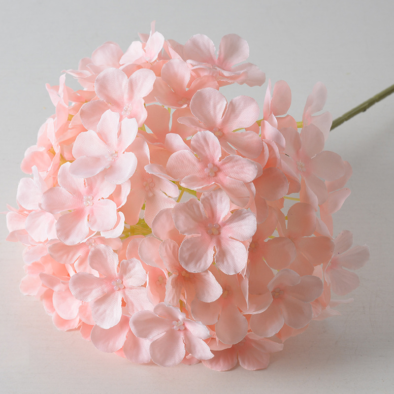Lollipop hydrangea pink